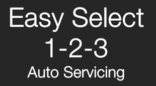 Easy Select 1-2-3 Auto Servicing